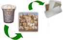 Reciclagem Documentos Escolares