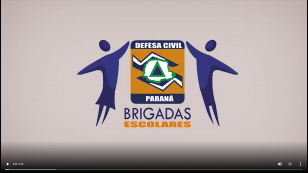 Conselho Estadual de Educação recebe representantes do Programa Brigada Escolar