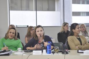 Diretora-Geral da Secretaria de Estado do Desenvolvimento Sustentável e do Turismo  realiza palestra no CEE/PR