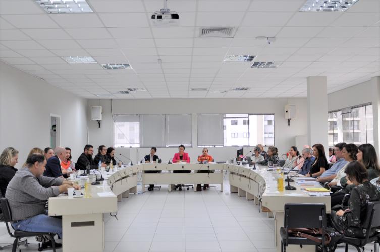 Câmara da Educação Superior recebeu Pró-reitores para tratar da Resolução CNE/CP n.º 02/19