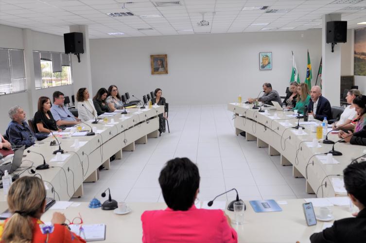 Câmara da Educação Superior recebeu Pró-reitores para tratar da Resolução CNE/CP n.º 02/19