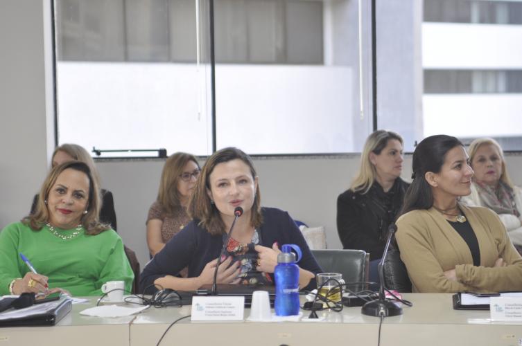 Diretora-Geral da Secretaria de Estado do Desenvolvimento Sustentável e do Turismo realiza palestra no CEE/PR