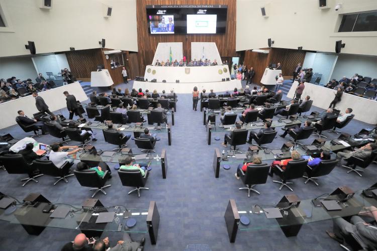 Presidente do CEE/PR participa da Audiência Pública na ALEP sobre Segurança nas Escolas