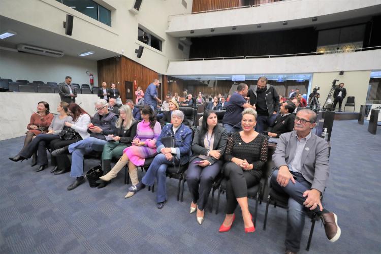 Presidente do CEE/PR participa da Audiência Pública na ALEP sobre Segurança nas Escolas