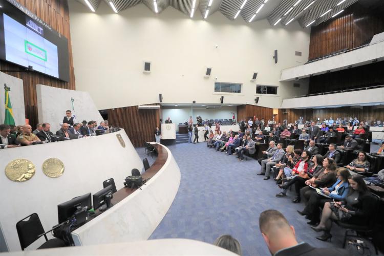 Presidente do CEE/PR participa da Audiência Pública na ALEP sobre Segurança nas Escolas