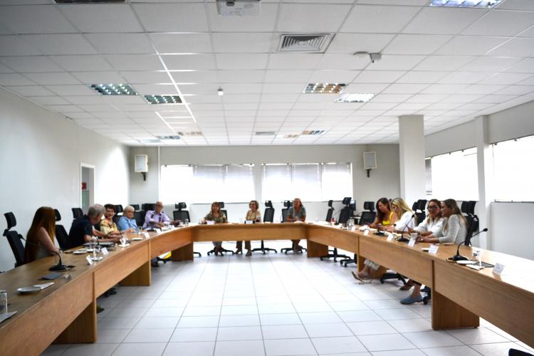 CEE/PR participa de Reunião online promovida pelo CEE/GO