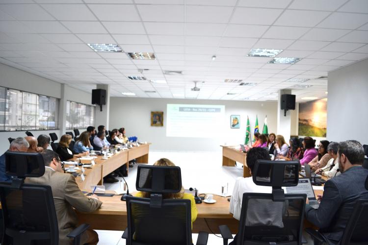 CES dialoga com Pró-Reitores de Graduação e de Extensão das IES Públicas Estaduais