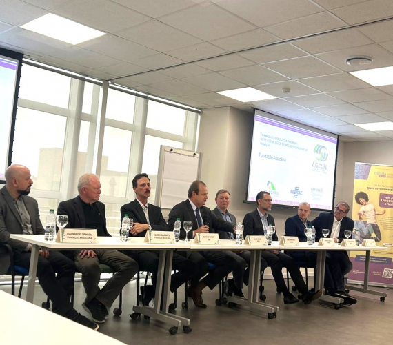 Agentes de Desenv. Regional