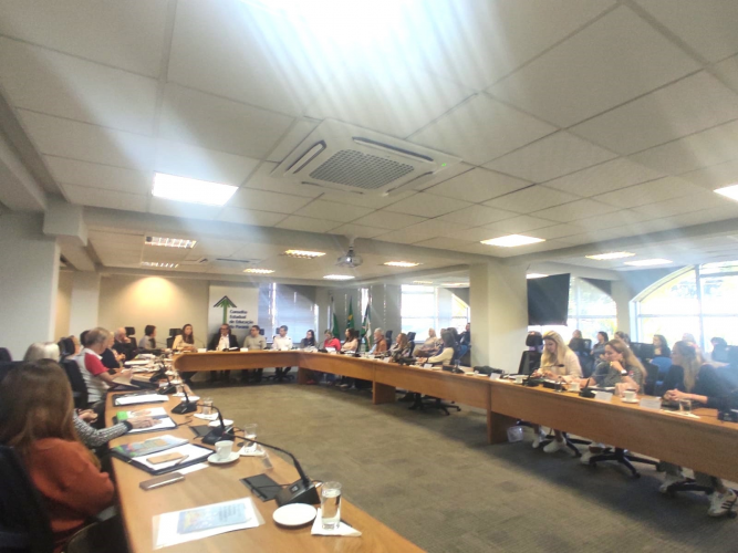 Trabalhos realizados na 4.ª Reunião Ordinária do CEE/PR entre 05 a 09 de maio de 2025