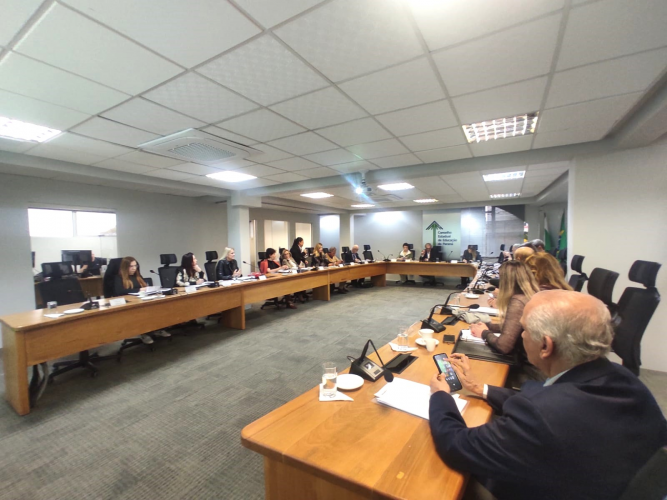 Conselho Estadual de Educação aprova Normas Complementares para a Educação Infantil no Paraná