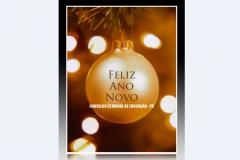 O Conselho Estadual de Educação do Paraná deseja um Feliz Ano Novo!