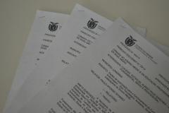 Roteiro para consulta de Pareceres