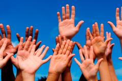 Voluntariado