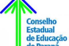 Representantes do Fórum Permanente de Apoio à Formação Docente participam de Reunião na   Câmara da Educação Superior