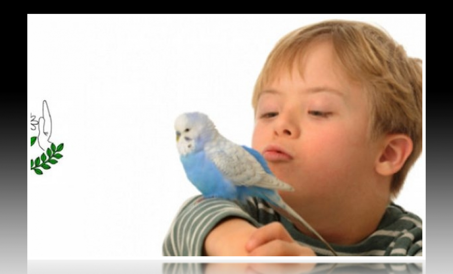 educação_especial_deliberação